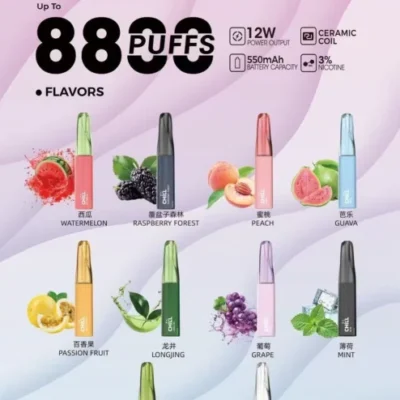 台灣現貨 | CHILL 一次性拋棄式電子煙 · 8800口